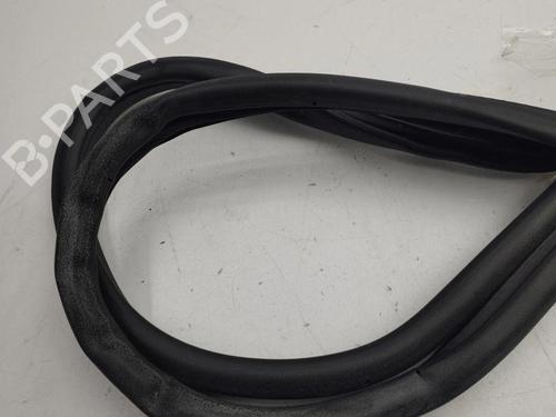 Rubber door seal NISSAN QASHQAI II (J11, J11_) 1.3 DIG-T | BP28897191C142 