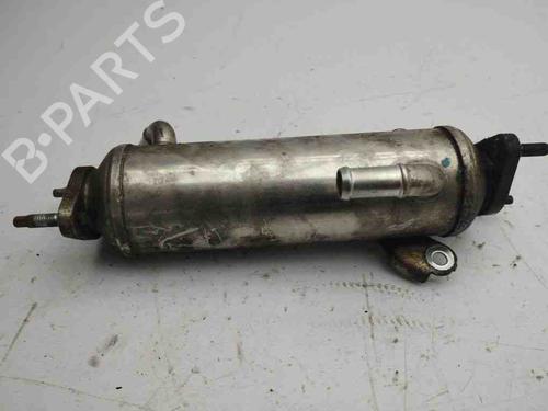 Egr CHEVROLET CAPTIVA (C100, C140) 2.0 D 4WD | BP28892280M69 