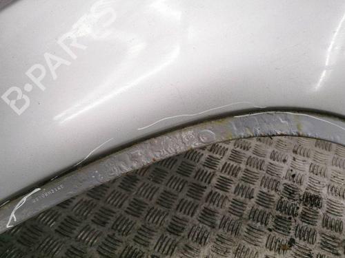 Left front fenders BMW X5 (E53) 3.0 i | BP28897841C41 
