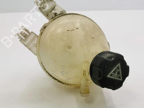 Used Expansion tank CITROËN C4 CACTUS 1.6 BlueHDi 100 (99 hp) 28902801