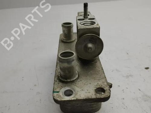 Heater matrix TESLA MODEL S (5YJS) 60 | BP28862956M63 