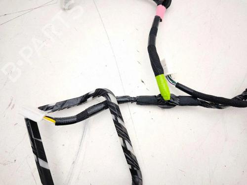 Wiring harness LEXUS RX (_L2_) 450h AWD (GYL25_, GYL25, GYL26) | BP40194176E16 - Image 4
