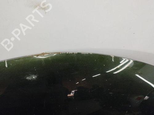 Hood TOYOTA RAV 4 IV (_A4_) 2.2 D 4WD (ALA49) | BP28843569C1 