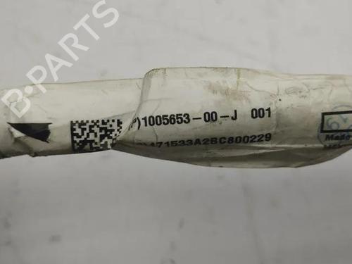 Cable TESLA MODEL S (5YJS) 60 | BP28862911E12