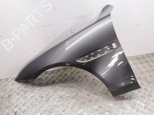 Used Left front fenders JAGUAR XF I (X250) 2.7 D (207 hp) 28906344