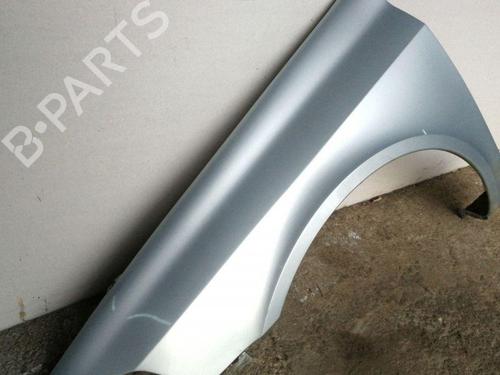 Left front fenders RENAULT LAGUNA II (BG0/1_) 1.9 dCi (BG08, BG0G) | BP28886801C41 