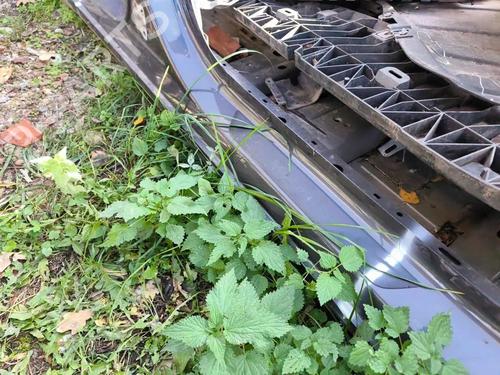 Other TESLA MODEL 3 (5YJ3) EV | BP33920399O1 - Image 5