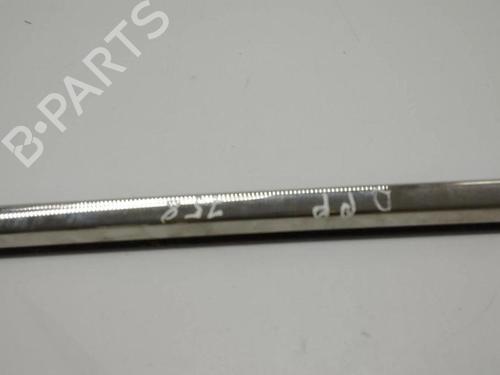 Door moulding trim BENTLEY CONTINENTAL FLYING SPUR (3W_) 6.0 | BP28898578C150 