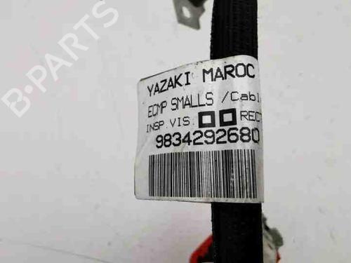 Cable CITROËN C4 III (BA_, BB_, BC_) ë-C4 (BCZKXC, BZCKSC) | BP28865100E12 