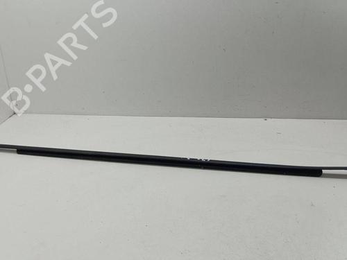 Door moulding trim HYUNDAI SANTA FÉ II (CM) 2.2 CRDi 4x4 | BP28892413C150 