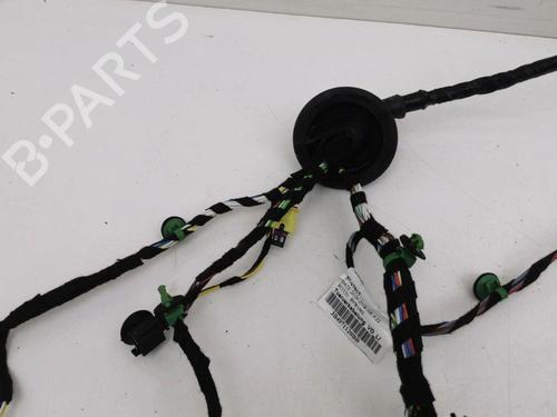 Wiring harness VW ARTEON (3H7, 3H8) 2.0 TDI 4motion | BP28901085E16 