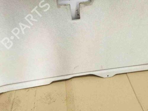Interior roof FIAT DUCATO Van (250_) 150 Multijet 2,3 D | BP29054394I12