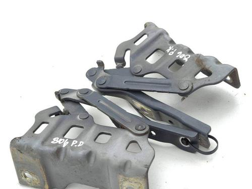 Hinge/Door check strap KIA SPORTAGE V (NQ5) 1.6 T-GDI | BP28884181C146 