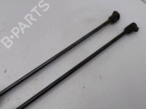Tailgate lift support FORD GRAND C-MAX (DXA/CB7, DXA/CEU) 2.0 TDCi | BP28894418C138 