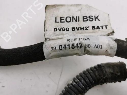 Cable CITROËN C4 Picasso II 1.6 HDi 90 | BP28843875E12 