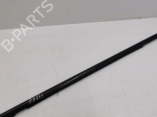 Door moulding trim BMW X5 (E53) 4.4 i | BP28897816C150 