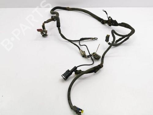Used Wiring harness PEUGEOT 407 Coupe (6C_) 2.0 HDi (136 hp) 28842090