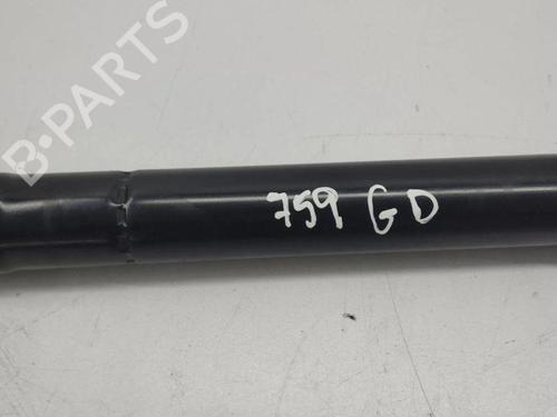 Tailgate lift support LAND ROVER RANGE ROVER EVOQUE (L538) 2.2 D 4x4 | BP28898705C138 