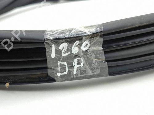Gummiliste FORD KUGA III (DFK) 2.5 Duratec Plug-in-Hybrid | BP38244003C142 - Image 11