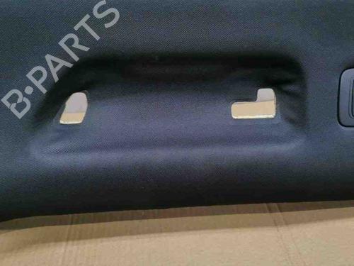 Tetto interno PORSCHE CAYENNE (92A) 3.6 | BP28879763I12