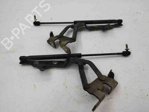 Hinge/Door check strap MASERATI QUATTROPORTE V 4.2 | BP28876828C146 