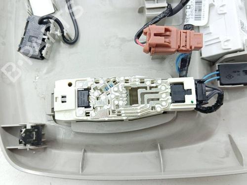 Interior roof light RENAULT KADJAR (HA_, HL_) 1.5 dCi 110 (HLA3) | BP28895536I8