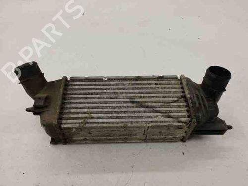Used Intercooler PEUGEOT 407 Coupe (6C_) 2.0 HDi (136 hp) 28842092