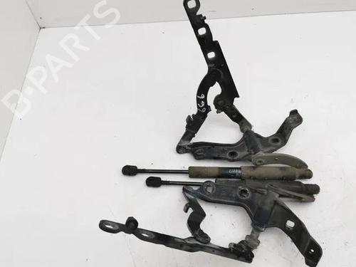 Hinge/Door check strap MERCEDES-BENZ S-CLASS (W221, V221) S 320 CDI (221.022, 221.122) | BP28853915C146 