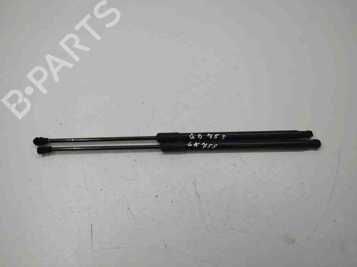 Tailgate lift support VW GOLF VIII (CD1, DA1) 1.0 TSI | BP28898316C138