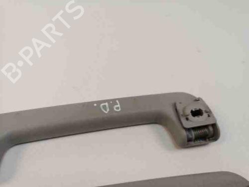 Interior roof handle AUDI ALLROAD C5 (4BH) 2.5 TDI quattro | BP28866088I35