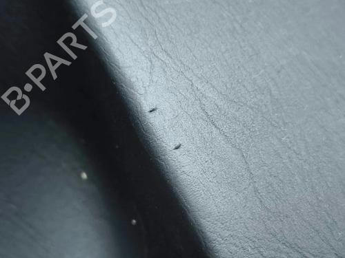 Rear right panel LEXUS GS (_S19_) 450h (GRS191_, GWS191_) | BP36189838C61 - Image 11