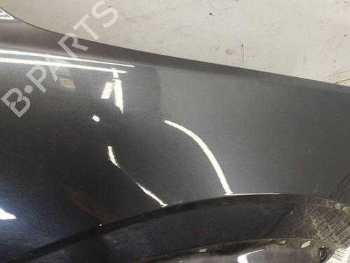 Right front fenders OPEL ANTARA A (L07) 2.0 CDTI 4x4 | BP28896137C42 