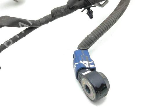 Wiring harness NISSAN 350Z Coupe (Z33) 3.5 (AAZ33) | BP28882393E16 