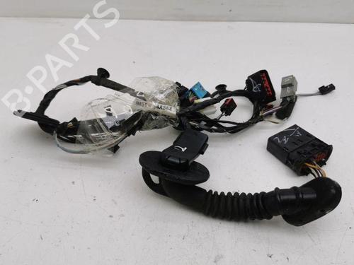 Kabelboom FORD C-MAX II (DXA/CB7, DXA/CEU) 2.0 TDCi | BP28887539E16