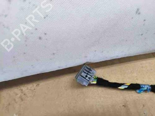 Interior roof TESLA MODEL S (5YJS) 60 | BP28862817I12