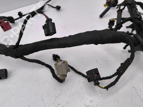 Wiring harness VW ARTEON (3H7, 3H8) 2.0 TDI 4motion | BP28901125E16 