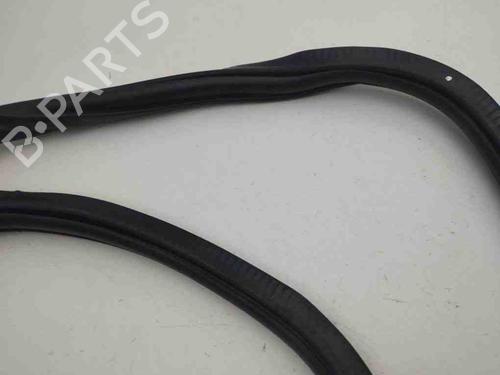 Gummiliste AUDI Q3 (F3B) 35 TFSI | BP28899755C142 