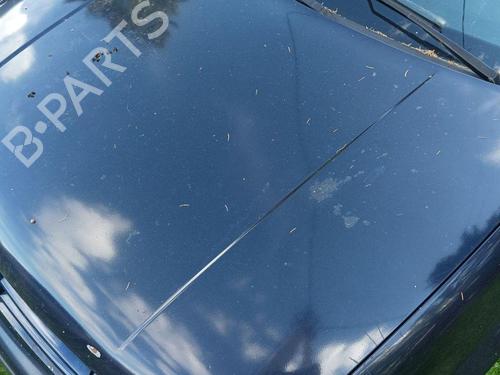 Hood VW GOLF V (1K1) 1.9 TDI | BP28893428C1 