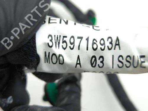 Wiring harness BENTLEY CONTINENTAL FLYING SPUR (3W_) 6.0 | BP28883462E16 