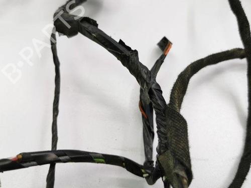 Wiring harness PEUGEOT 407 Coupe (6C_) 2.0 HDi | BP28842085E16 