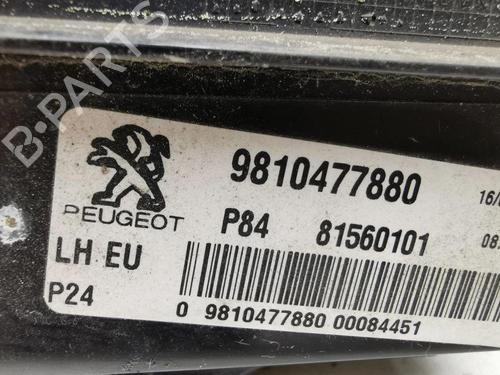 Left tailgate light PEUGEOT 2008 II (UD_, US_, UY_, UJ_, UR_, UC_) 1.5 BlueHDI 110 (UDYHSK) | BP28901006C79 