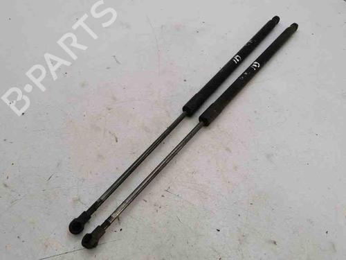 Used Tailgate lift support NISSAN X-TRAIL II (T31) 2.0 dCi 4x4 (150 hp) 28886424