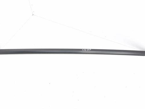 Door moulding trim TESLA MODEL 3 (5YJ3) EV | BP28901358C150 