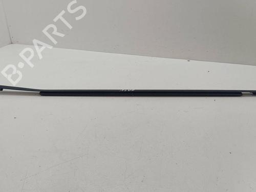 Door moulding trim NISSAN X-TRAIL II (T31) 2.0 dCi 4x4 | BP28886433C150 