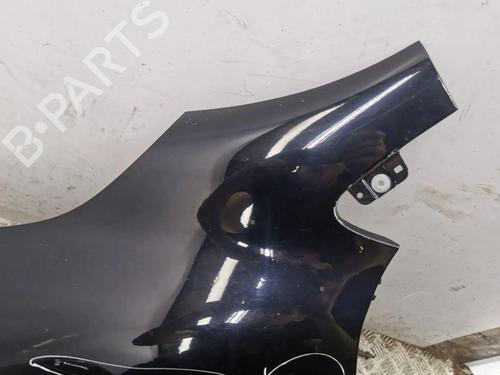 Left front fenders RENAULT KADJAR (HA_, HL_) 1.5 dCi 110 (HLA3) | BP28895548C41 