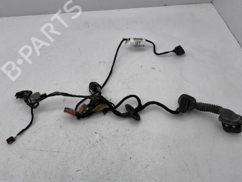 Used Wiring harness FORD GRAND C-MAX (DXA/CB7, DXA/CEU) 2.0 TDCi (163 hp) 28894399