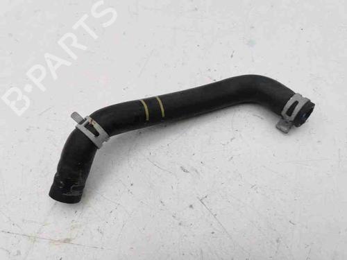 Used Pipe NISSAN QASHQAI II (J11, J11_) 1.3 DIG-T (140 hp) 28897167