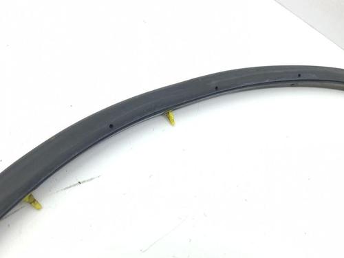 Rubber door seal NISSAN 350Z Coupe (Z33) 3.5 (AAZ33) | BP28879167C142 