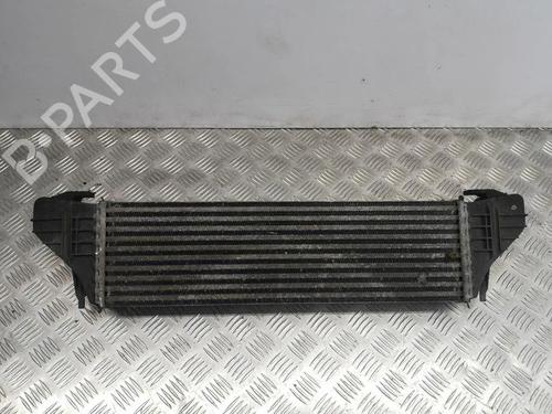 Intercooler BMW X5 (E53) 3.0 d | BP28886124M30  - Image 7