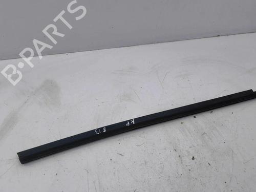 Door moulding trim TESLA MODEL S (5YJS) 60 | BP28900750C150 